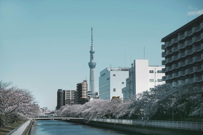 Romantic Japan: 7-Day Journey Through Love & Culture from Tokyo to Osaka
