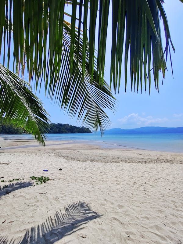 Isle of Love: Andaman Honeymoon Getaway