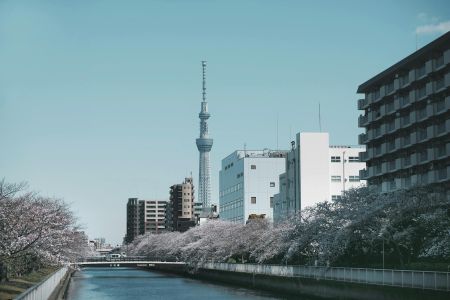 Romantic Japan: 7-Day Journey Through Love & Culture from Tokyo to Osaka